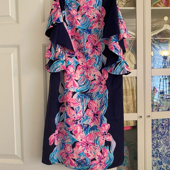 NWT Lilly Pulitzer Kara Dress Hypes and Stripes XS - Picture 6 of 7